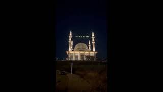 RGB Mahya — Video Oynatma Özelliği